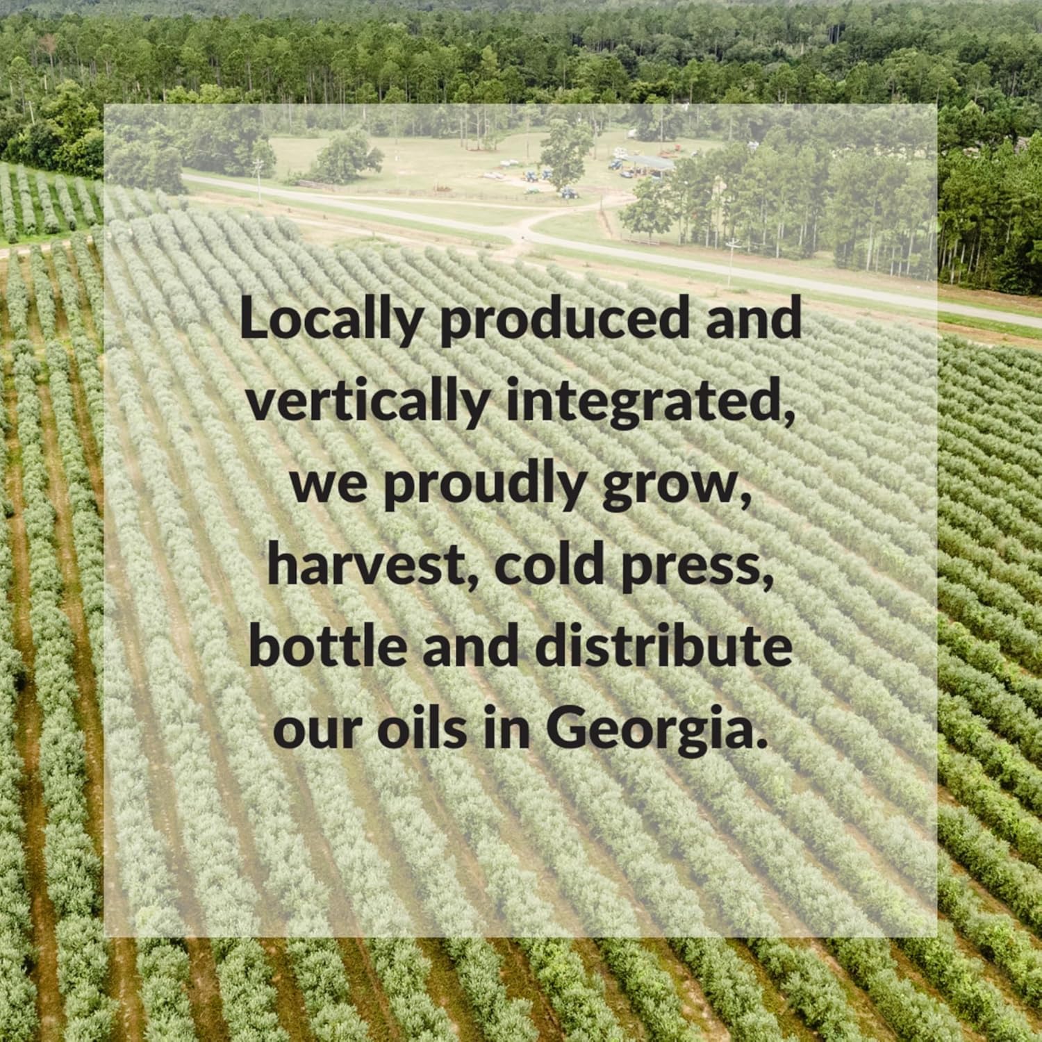 fresh press farms cold pressed extra virgin sunflower oil, 33.8 fl oz, high oleic, georgia grown, 100% american made, unrefined, certified whole30, non gmo, keto, paleo, gluten free fresh press farms cold pressed extra virgin sunflower oil, 33.8 fl oz, high oleic, georgia grown, 100% american made, unrefined, certified whole30, non gmo, keto, paleo, gluten free