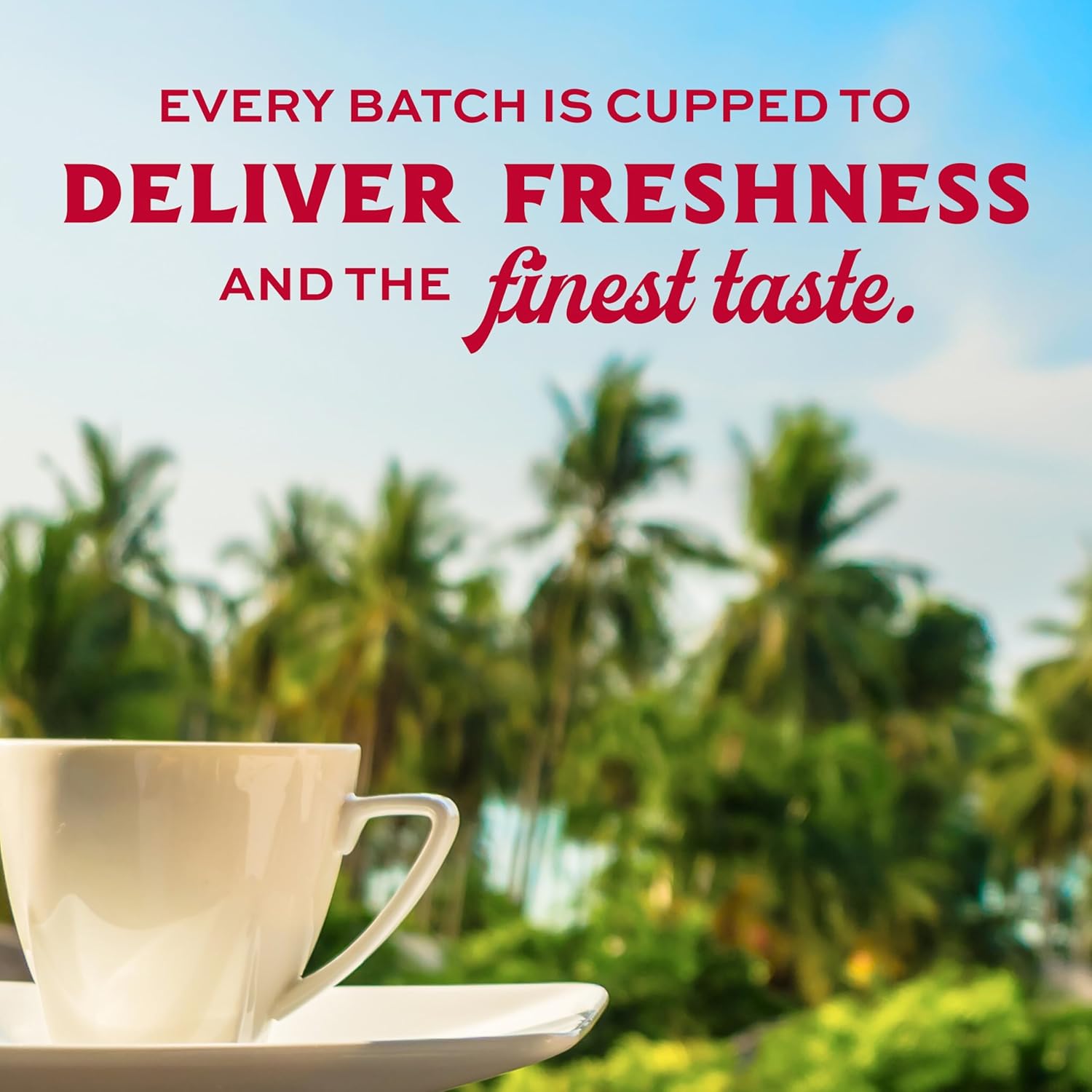 lion coffee, arabica coffee beans, light roast, premium ground coffee, toasted coconut flavor, a taste of aloha, 10 ounce bag lion coffee, arabica coffee beans, light roast, premium ground coffee, toasted coconut flavor, a taste of aloha, 10 ounce bag