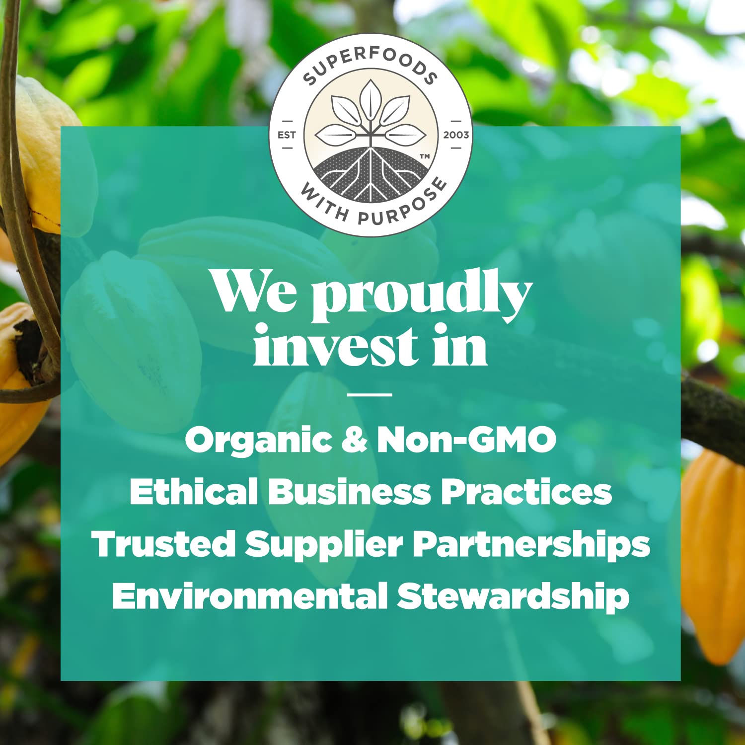 navitas organics cacao butter wafers, 8oz — organic, non gmo, fairtrade, gluten free navitas organics cacao butter wafers, 8oz — organic, non gmo, fairtrade, gluten free